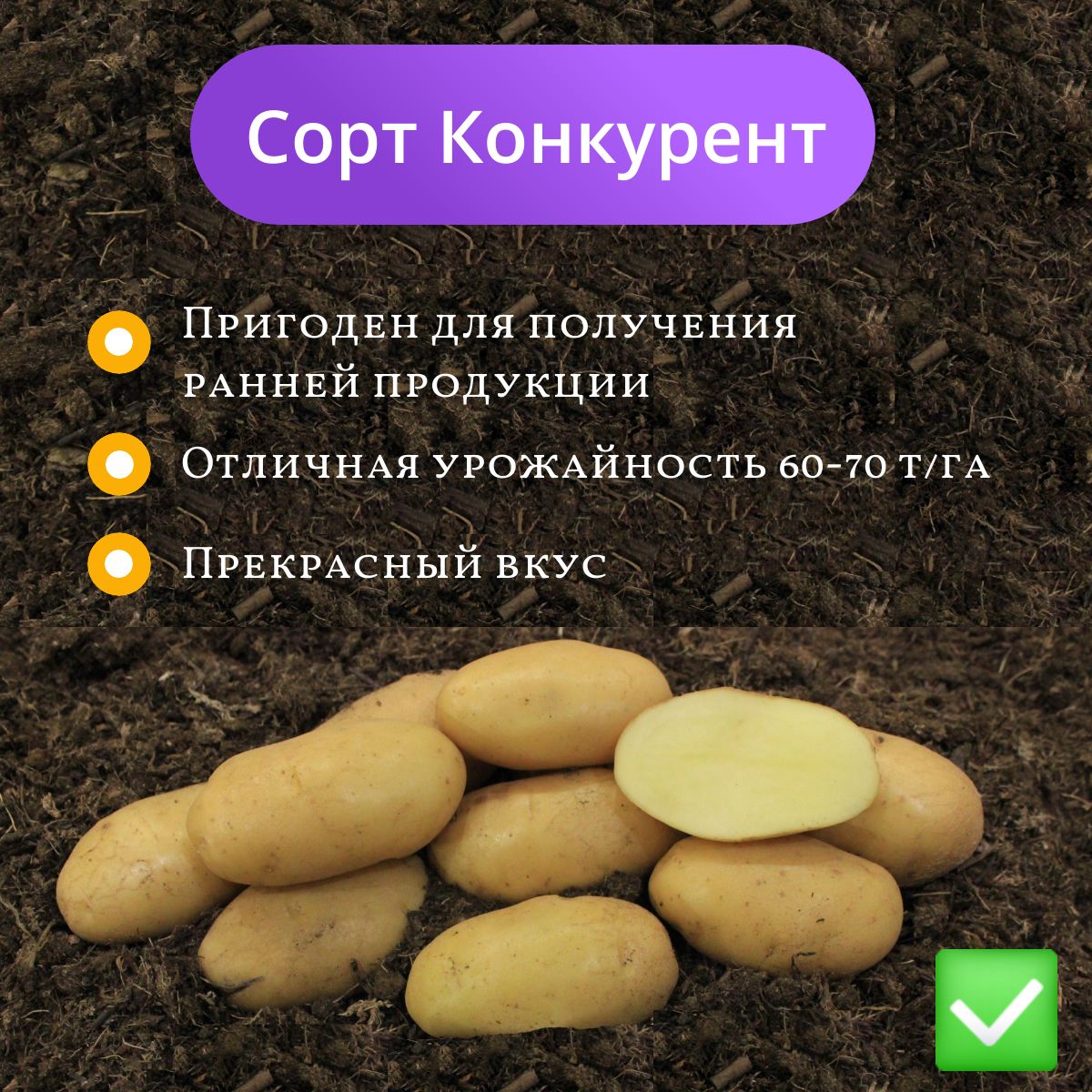 Картофель конкурент описание сорта фото отзывы Картофель Агроцентр Коренево Картофель семенной Конкурент_1 - купить по выгодным