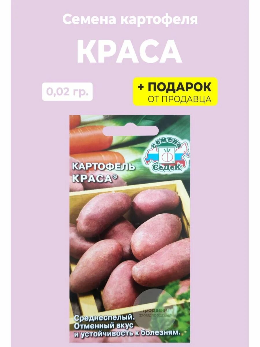 Картофель краса фото Семена картофель "Краса" СеДек 100227715 купить за 105 ₽ в интернет-магазине Wil