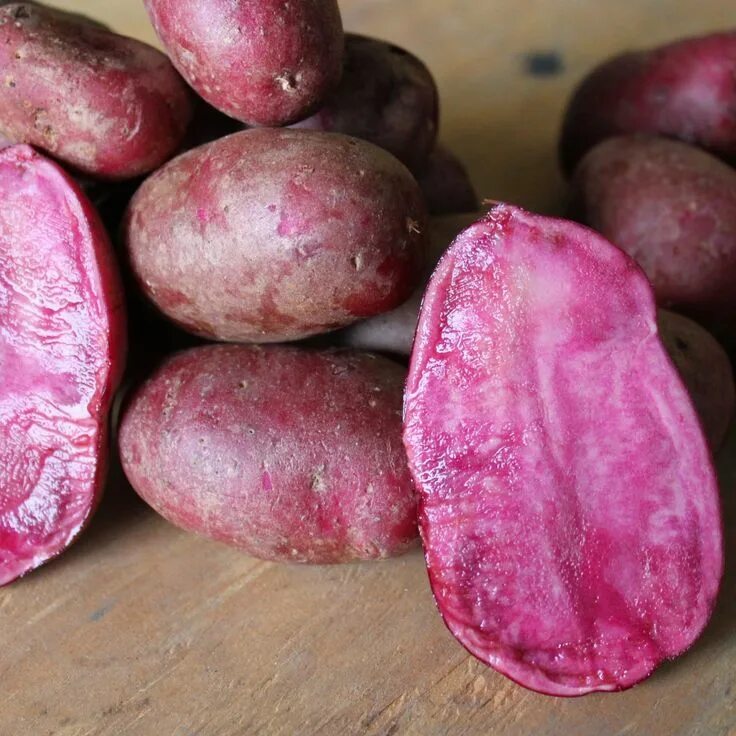 Картофель красный с красной мякотью фото Potato - Solanum tuberosum - Adirondack Red
