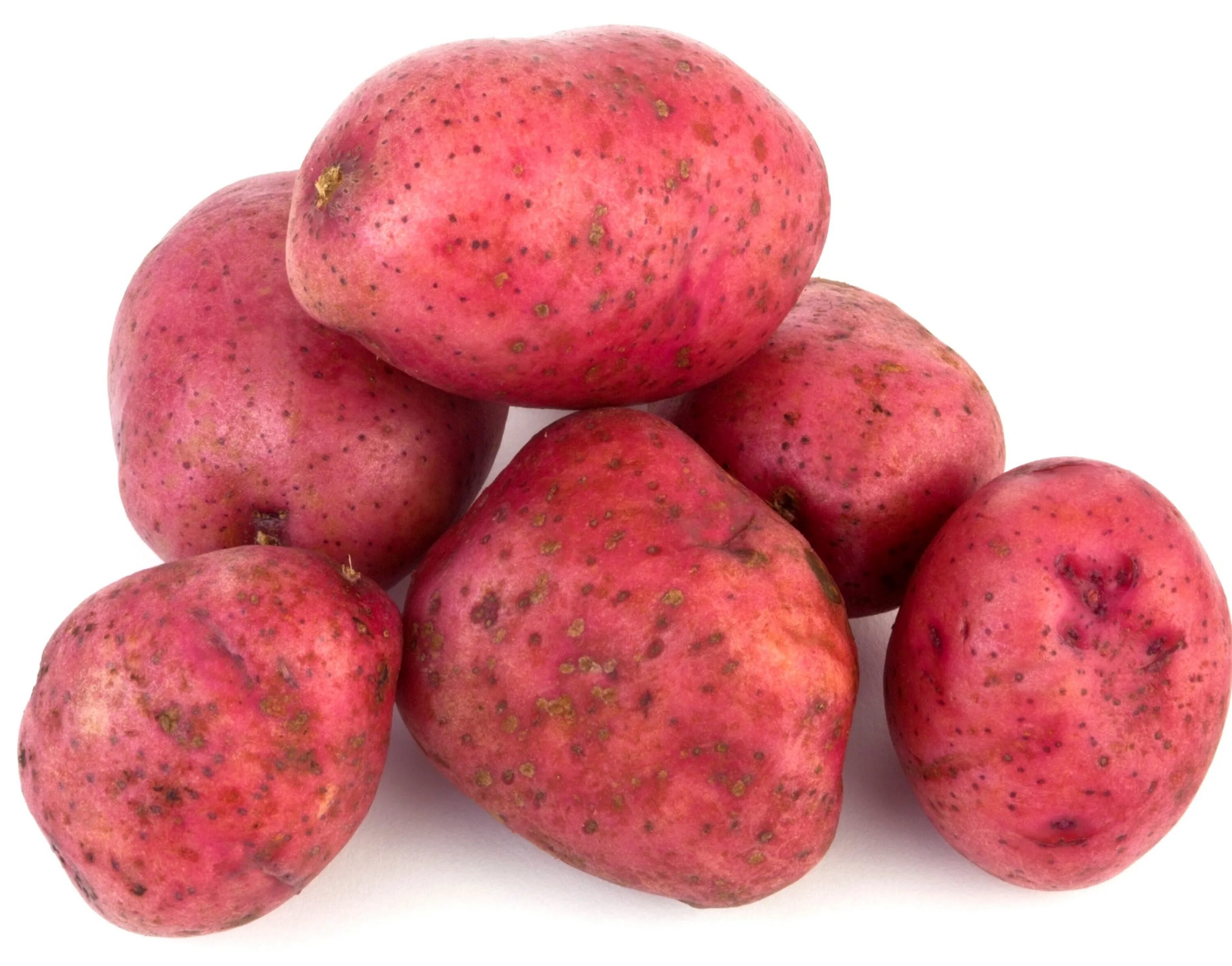 Картофель красный с красной мякотью фото Yeni Ürün Hollanda Patates Tohumu/patates Alıcıları/patates Fiyatları - Buy Swee