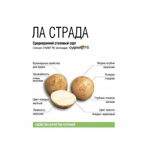Картофель ла страда фото Семенной картофель Ла Страда 2 кг, 101602099191 - купить в городе Москва по низк