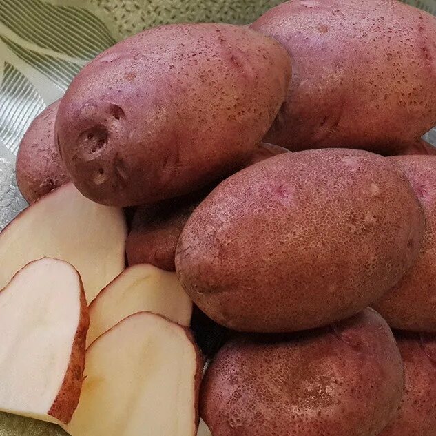 Картофель любава описание сорта фото отзывы Купить картофель семенной любава (2 кг) по цене 240 руб. в интернет магазине "Пе