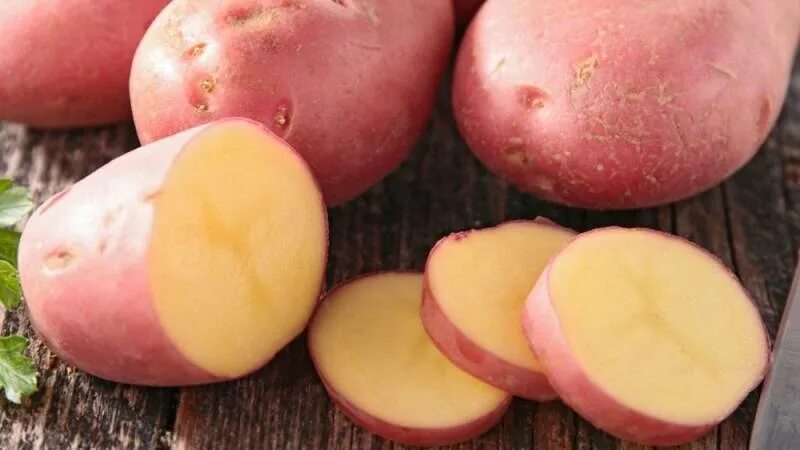 Картофель любава описание сорта фото отзывы Картофель Любава: описание и характеристики сорта, вкусовые качества, достоинств