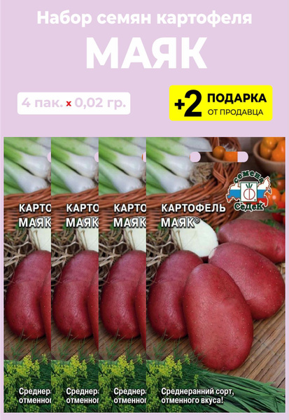 Картофель маяк описание сорта фото отзывы Картофель For Home And Family Маяк - купить по выгодным ценам в интернет-магазин
