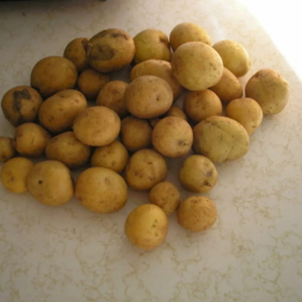 Картофель мелкий фото Very Small Potatoes