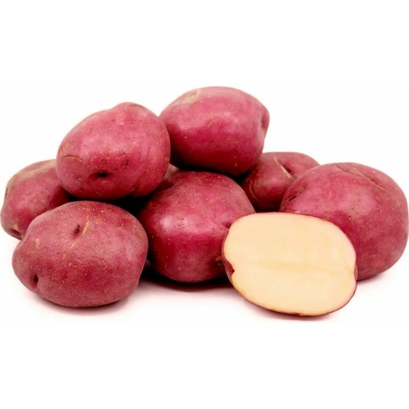 Картофель ред фото Red Skin - White Flesh KENNEBEC Potato Seeds - Preț: € 1.95