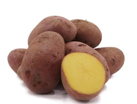 Картофель романо описание сорта фото отзывы Лучшие сорта картофеля для песчаной почвы, как вырастить