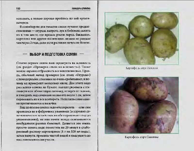 Картофель рябинушка описание сорта фото Иллюстрация 10 из 16 для 50 самых урожайных сортов картофеля, огурцов, помидоров