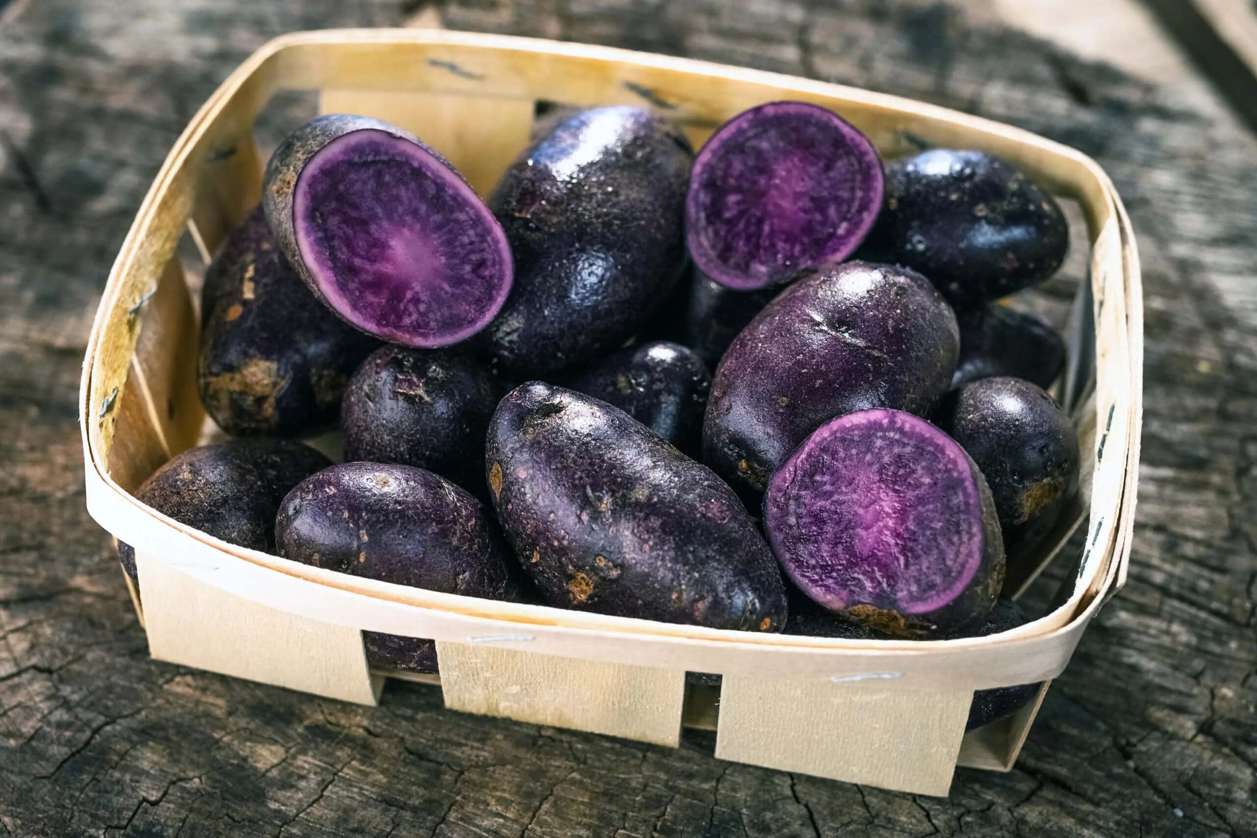 Картофель северное сияние описание сорта фото Why You Should Eat More Purple Potato - Healthier Steps