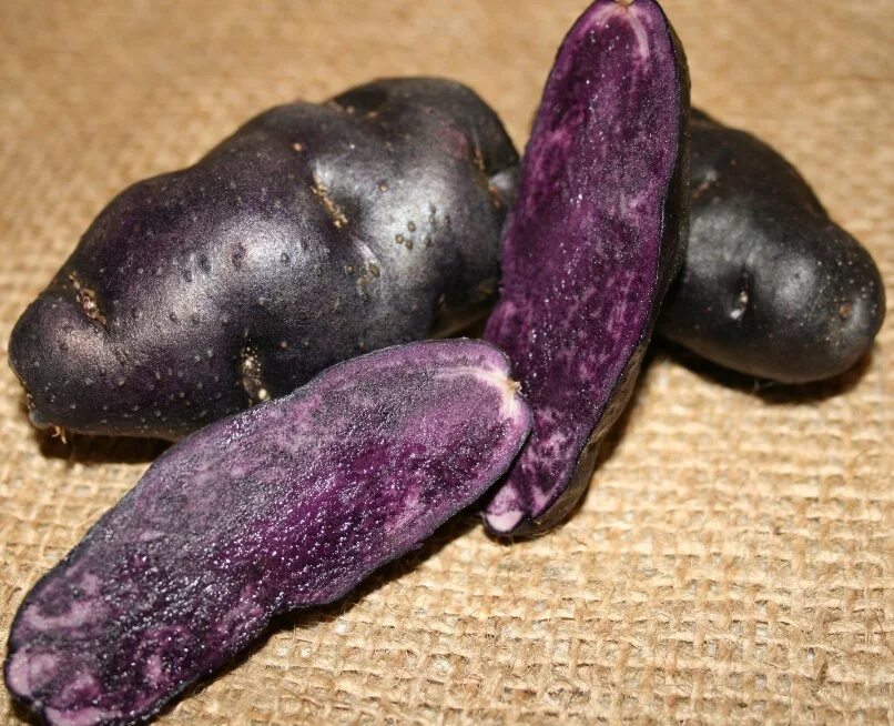 Картофель северное сияние описание сорта фото Купить семена Картофель Potato Purple Peruvian в Москве: доставка семян по Росси