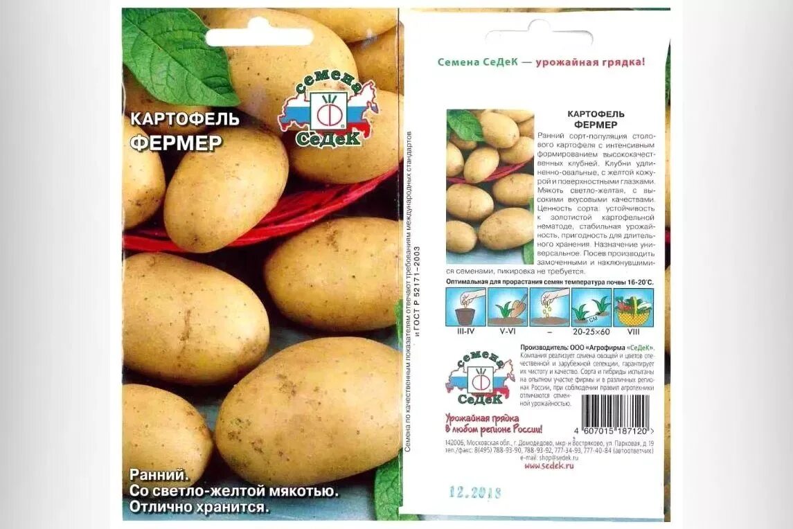 Картофель сказка описание сорта фото отзывы Картофель Киранда: описание, характеристики, посадка и выращивание, отзывы