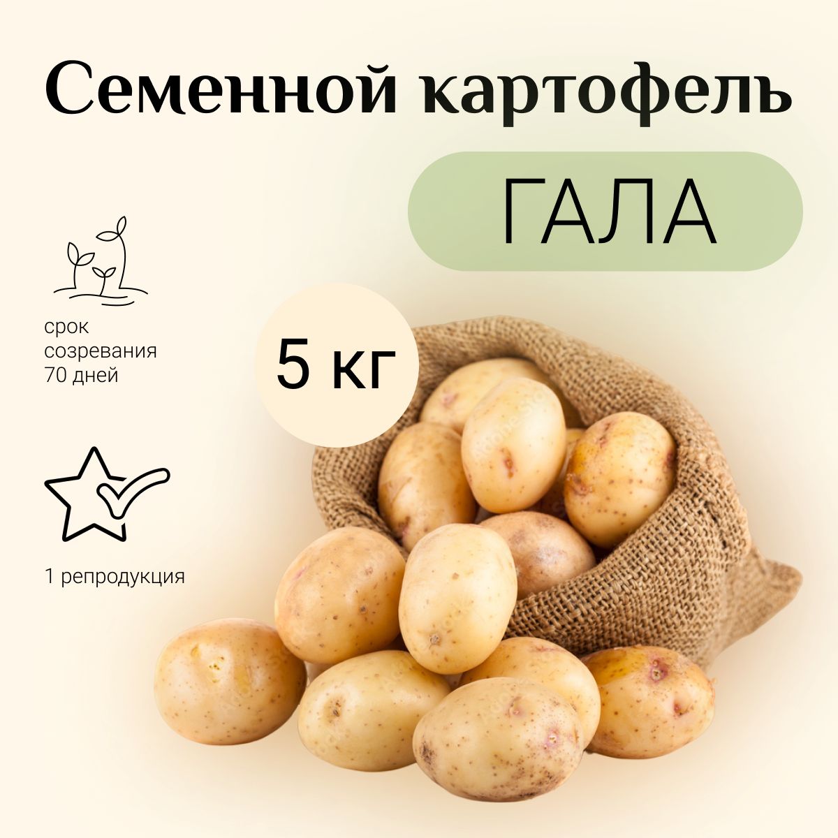 Картофель сказка описание сорта фото отзывы Клубни Картофель купить по выгодной цене в интернет-магазине OZON (958109943)