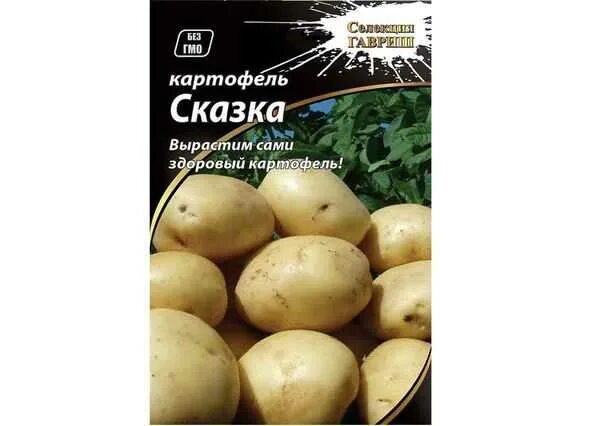 Картофель сказка описание сорта фото отзывы Картофель киевский свитанок: описание сорта, фото, отзывы об урожайности и особе