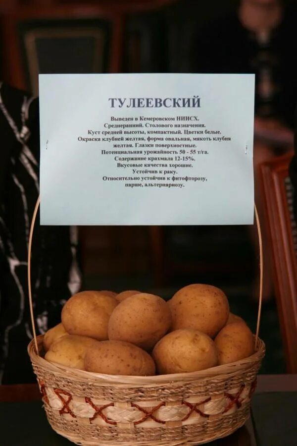 Картофель тулеевский описание сорта фото отзывы Картофель Тулеевский: описание сорта, характеристика