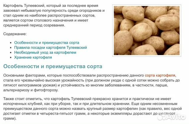 Картофель тулеевский описание сорта фото отзывы Картофель Тулеевский: описание и характеристики сорта, выращивание и уход, отзыв