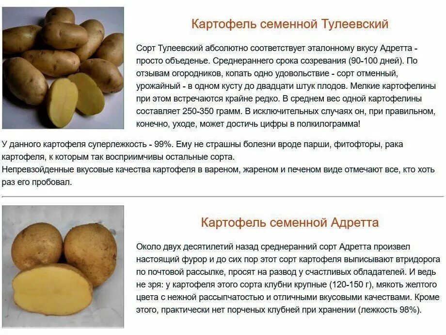 Картофель тулеевский описание сорта фото отзывы Заказала семенной картофель Тулеевский. У сорта много плюсов, но есть и недостат
