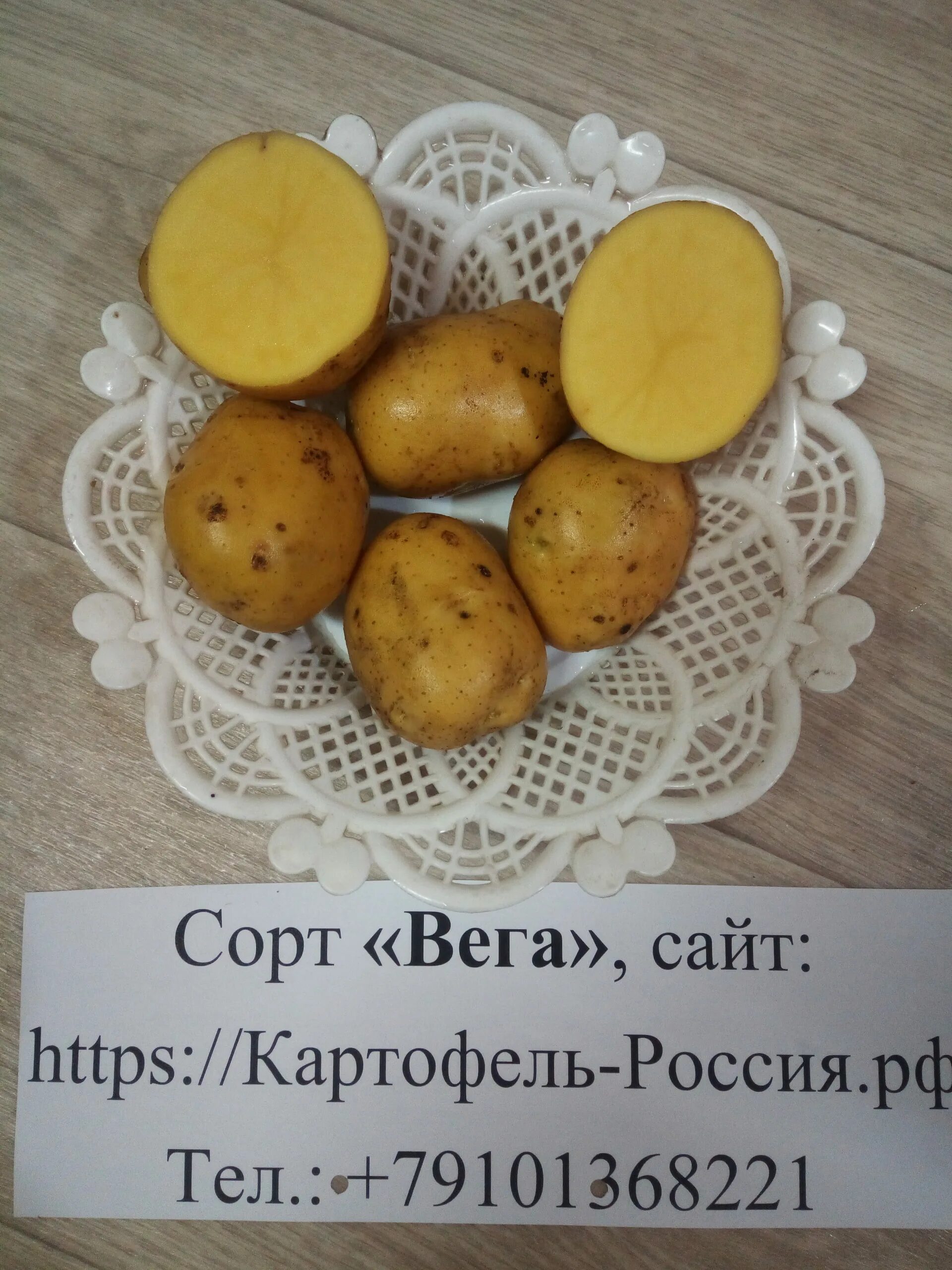 Картофель вега фото Вега - Картофель России