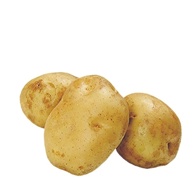 Картофель вектор фото Potatoes Wholesale China Trade,Buy China Direct From Potatoes Wholesale Factorie