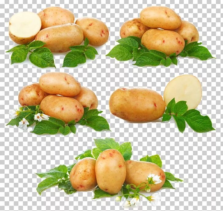 Картофель вектор фото French Fries Sweet Potato Vegetable PNG - cartoon potato chips, cauliflower, com