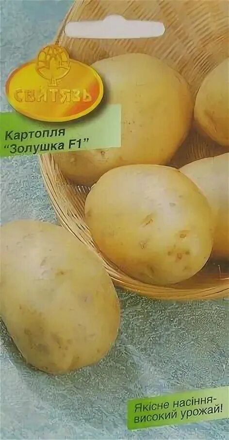 Картофель золушка описание сорта фото 7 Best Fruit trees images Fruit, Edible garden, Veggie garden