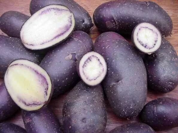 Картошка аляска описание сорта фото Shetland Black Potato Shetland Islands, Scotland