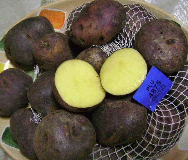 Картошка черный принц фото Dosya:Andean black potato 2.JPG - Vikipedi