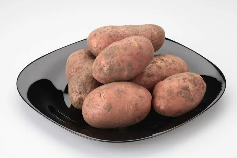 Картошка голландка фото Голландские сорта картофеля: фотографии и описания Зеленый рай Фотогалерея приро