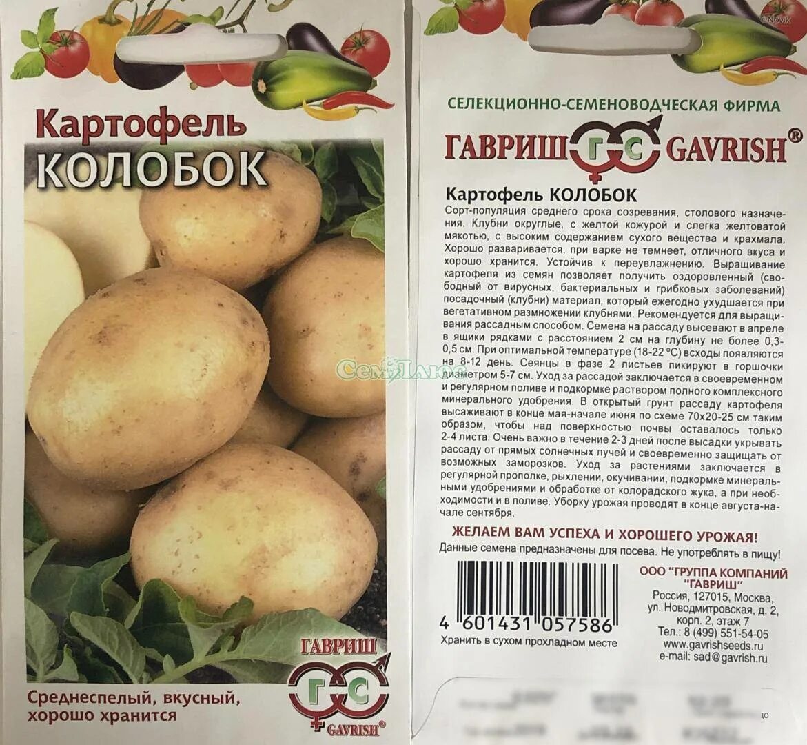 Картошка колобок описание сорта фото отзывы Картофель сорт сынок описание отзывы: найдено 88 картинок