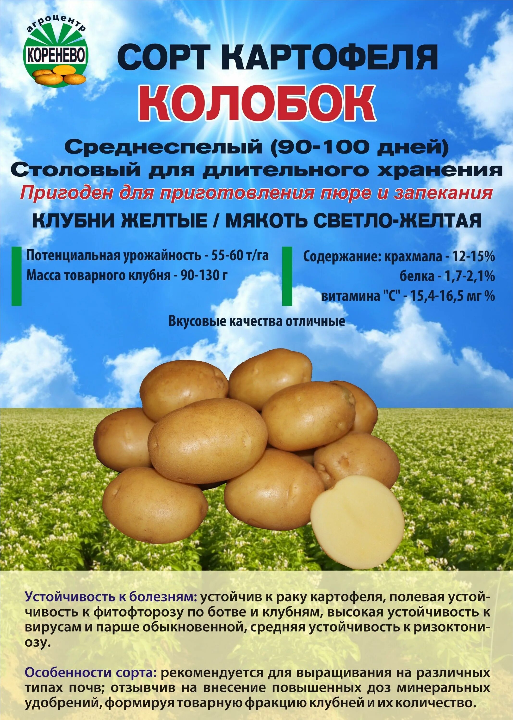 Картошка колобок описание сорта фото отзывы Клубни Картофель Агроцентр Коренево купить по выгодной цене в интернет-магазине 