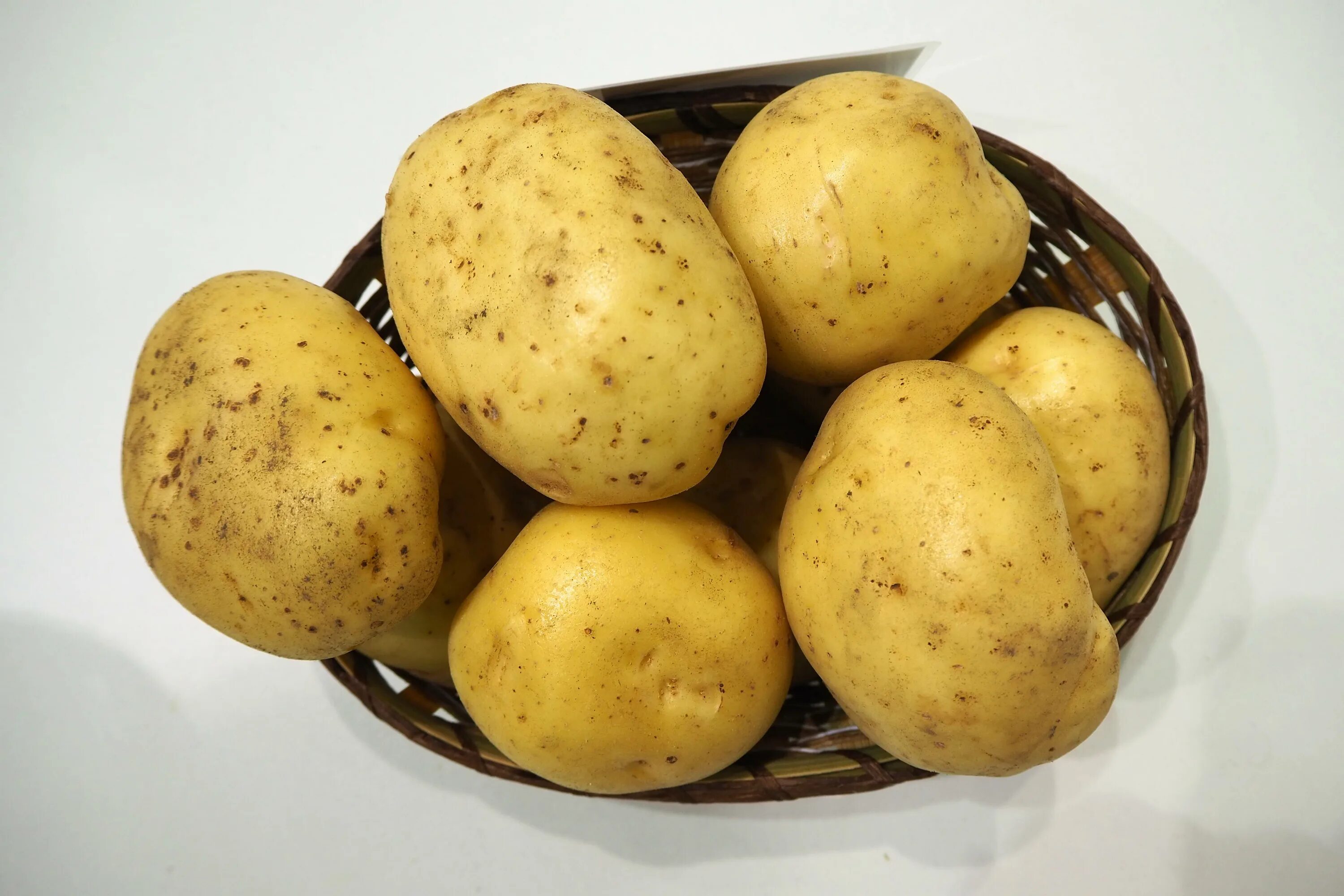 Картошка лилея описание сорта фото отзывы Желтая картошка eCookie.ru