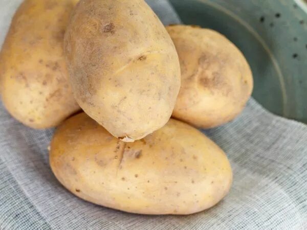 Картошка лилея описание сорта фото отзывы Картофель Великан 1 кг семенной - купить в питомнике "КСП" с доставкой по России