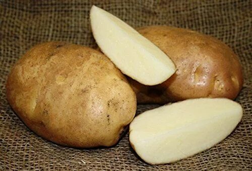 Картошка лилея описание сорта фото отзывы Pin on Seeds & Bulbs
