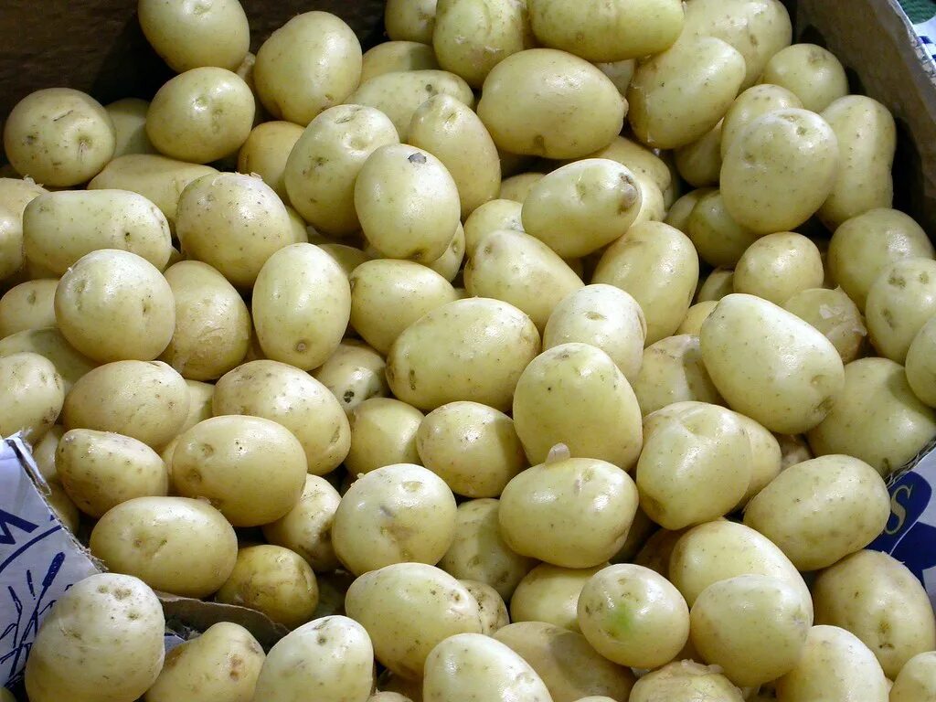 Картошка лорх фото Potatoes in The Borough market. London Este antiguo mercad. Flickr