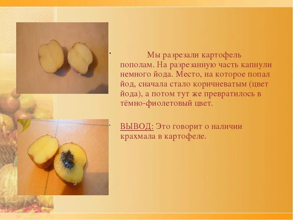 Картошка с йодом опыт фото Картинки КАКОЕ ВЕЩЕСТВО ЗАПАСАЕТ КАРТОФЕЛЬ
