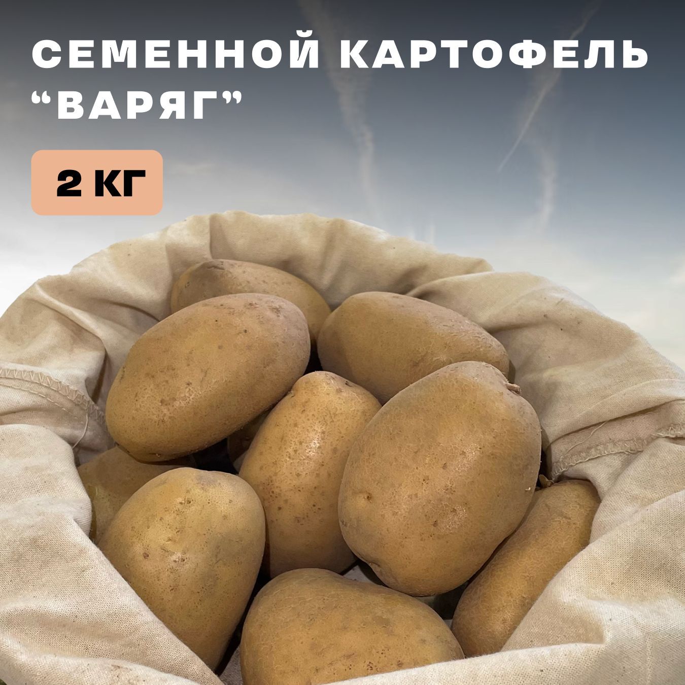 Картошка варяг описание сорта фото Клубни Картофель купить по выгодной цене в интернет-магазине OZON (1250477722)