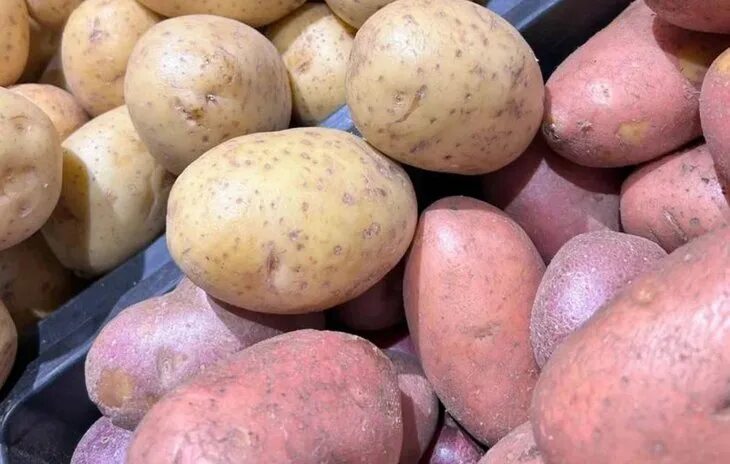 Картошка варяг описание сорта фото Самые популярные сорта семенного картофеля из Подмосковья назвал региональный Ми