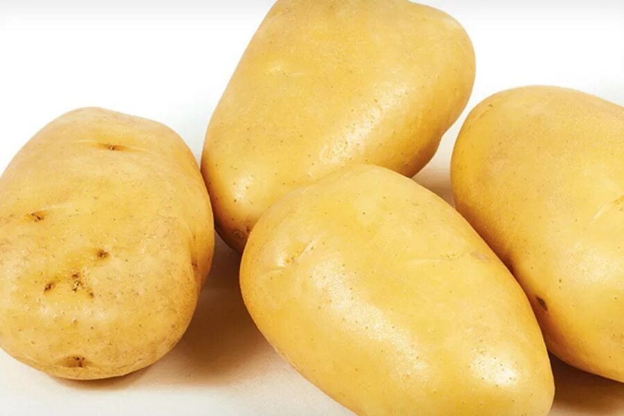 Картошка зекура описание сорта фото Семенной картофель Зекура (порция 500 г)
