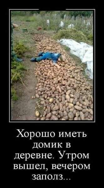 Картошку копать фото смешную Пин от пользователя Natalya Olexik на доске юмор Забавные фото, Смешные высказыв