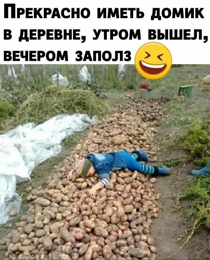 Картошку копать фото смешную Пин от пользователя Любанька на доске по доброму смешно Смешно, Сад, Домики