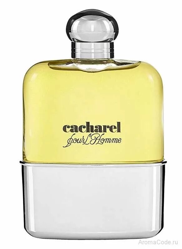 Кашарель духи фото Cacharel Pour Homme (Кашарель, Кашарэль) парфюм в Москве купить духи по цене инт