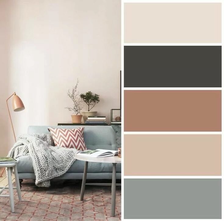 Кашемир серый сочетание цветов в интерьере Paleta de cores Bedroom color schemes, Guest bedroom colors, Bedroom paint color