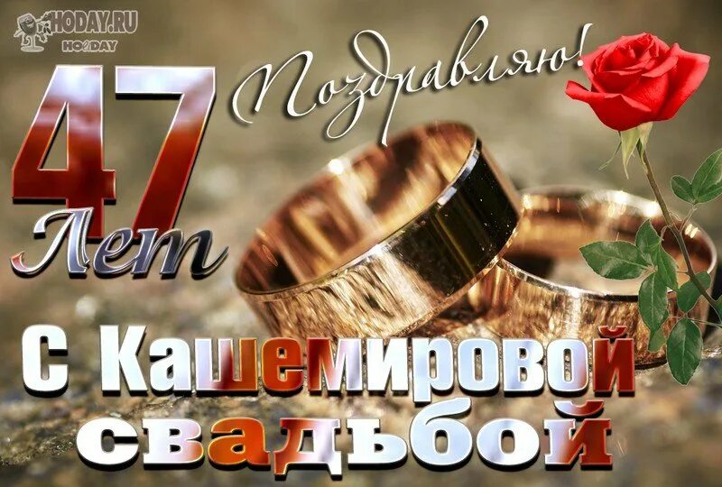 Кашемировая свадьба 47 лет картинки День свадьбы 47: найдено 79 изображений