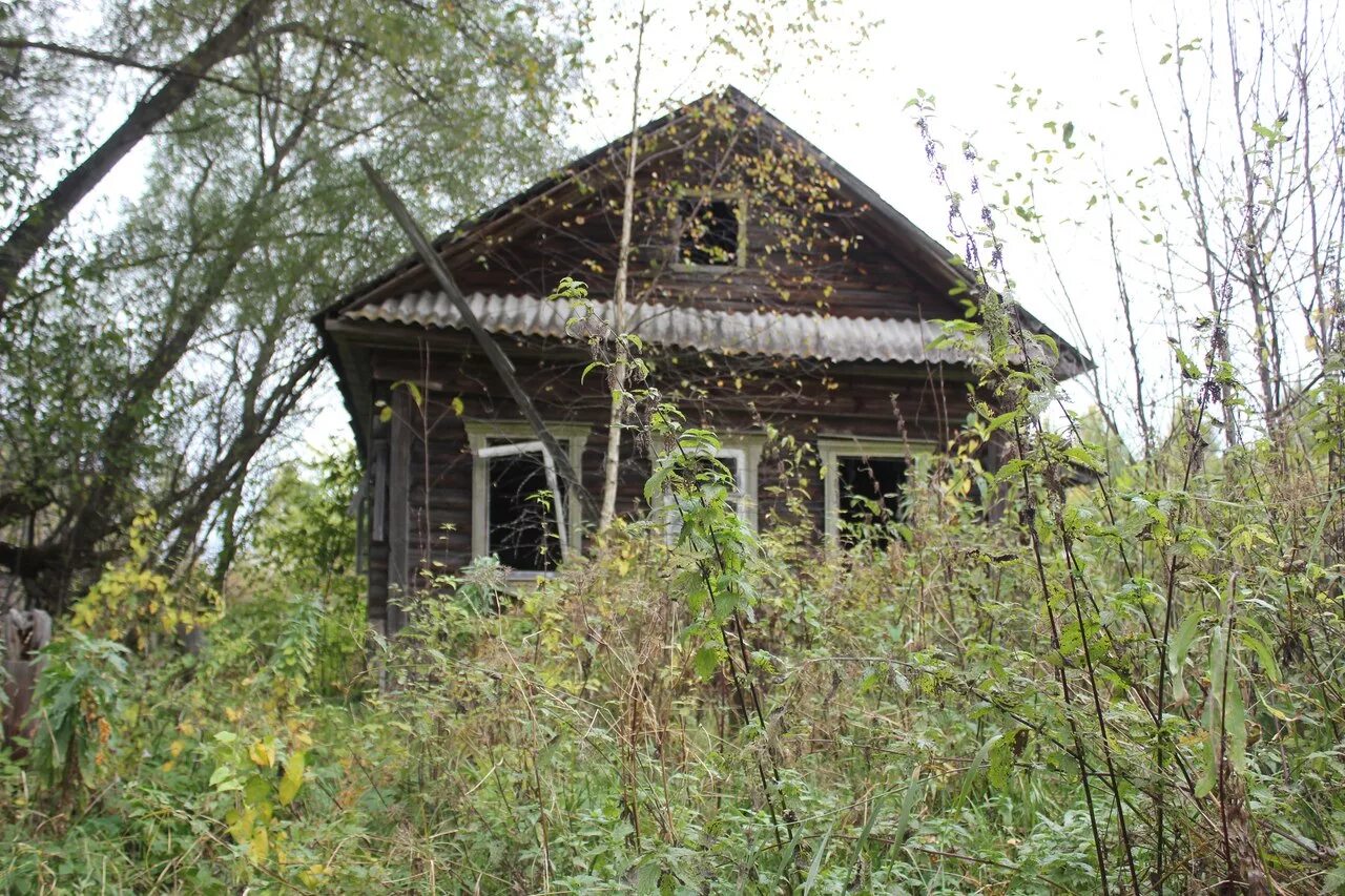 Кашинский район тверской области фото 14-15 Апреля, покатушка Кимрский-Кашинский районы Тверской области - УАЗ Patriot