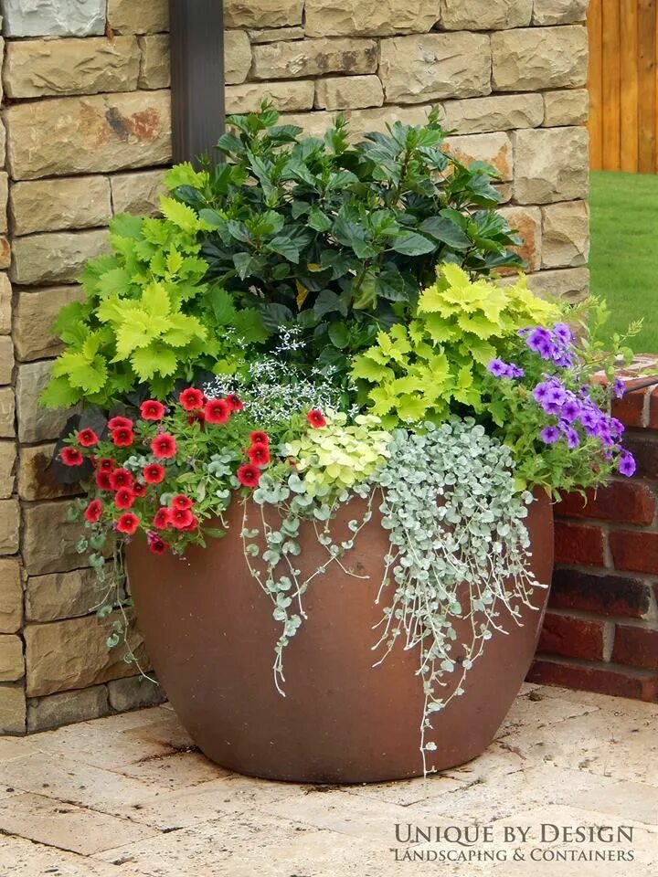 Кашпо для цветов на улицу фото Unique by Design Landscaping & Containers Container plants, Garden containers, C