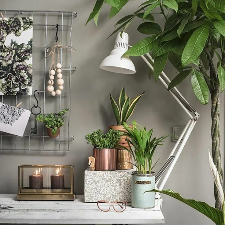 Кашпо для цветов в интерьере Pin by Linda 'Ollie' Gumley on Sewing space Indoor plants, Green interiors, Plan