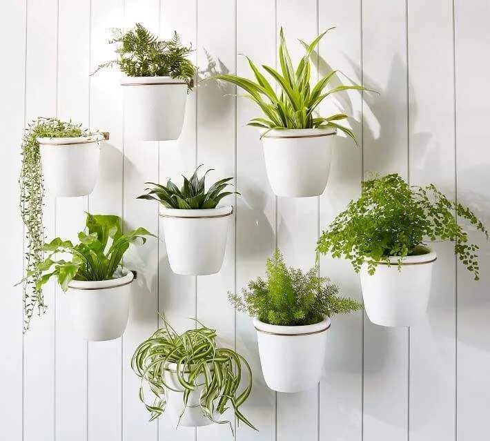 Кашпо для цветов в интерьере Pottery Barn Athens Wall Planter - White Wall planter, Planters, House plants de