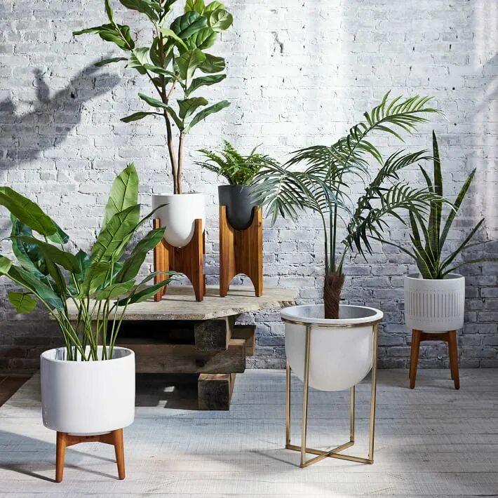 Кашпо для цветов в интерьере Eden Cross Base Brass Standing Planter West Elm