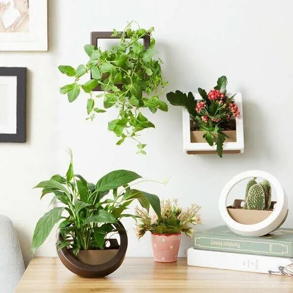 Кашпо для цветов в интерьере 2 Pcs/Lot Wall Hanging Plant Pot - Mavigadget