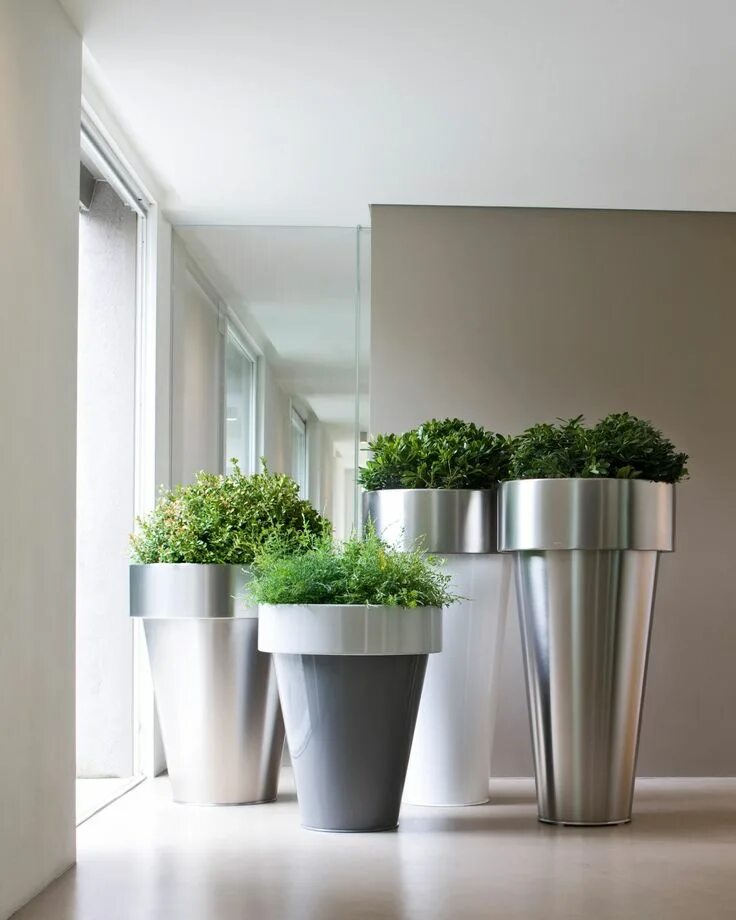 Кашпо для цветов в интерьере фото DC.Collection.Gallery Delta e Omega 022 Plant pot design, Interior plants, Pot d