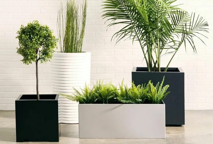 Кашпо для цветов в интерьере фото Seeley Cube Planter Outdoor planters, Planters, Indoor garden